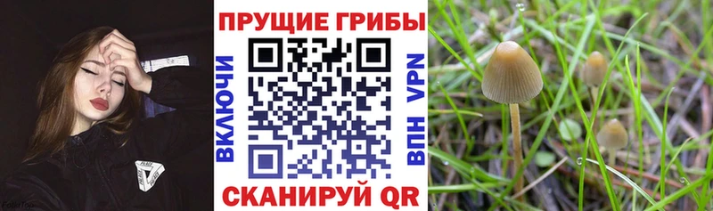 Галлюциногенные грибы мухоморы  ссылка на мегу как войти  Белоозёрский 
